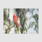 （鳥）ショウジョウコウカンチョウインウィンターパインツリースノーティッシュペーパー 薄葉紙 (正面)