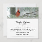 （鳥）ショウジョウコウカンチョウインパインスクエア葬儀サンキューカード サンキューカード (裏面)