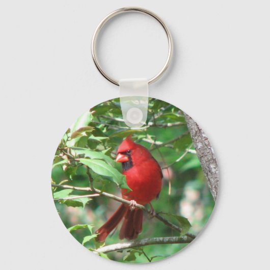 （鳥）ショウジョウコウカンチョウインホリー キーホルダー (正面)