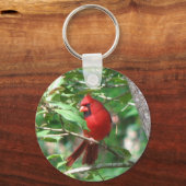 （鳥）ショウジョウコウカンチョウインホリー キーホルダー (正面)