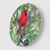 (鳥)ショウジョウコウカンチョウインレモンの木 – Backyard Bird Clock ラージ壁時計 (傾斜)