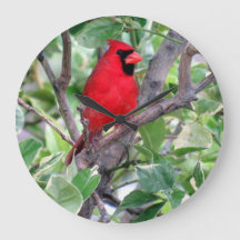 （鳥）ショウジョウコウカンチョウインレモンの木 – Backyard Bird Clock