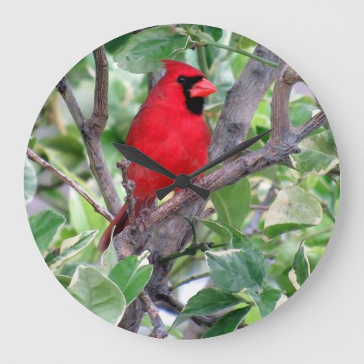 (鳥)ショウジョウコウカンチョウインレモンの木 – Backyard Bird Clock ラージ壁時計 (正面)