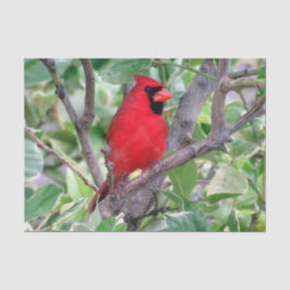 （鳥）ショウジョウコウカンチョウインレモンツリー – ティッシュペーパー 薄葉紙