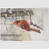 （鳥）ショウジョウコウカンチョウイン雪3 Decopage紙 薄葉紙 (正面)