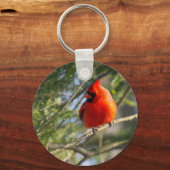 (鳥)ショウジョウコウカンチョウイン キーホルダー (正面)