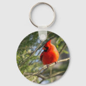 (鳥)ショウジョウコウカンチョウイン キーホルダー (裏面)