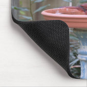 （鳥）ショウジョウコウカンチョウイン・バードバス・ブルー マウスパッド (コーナー)