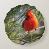 (鳥)ショウジョウコウカンチョウイン ラウンドクッション (裏面)