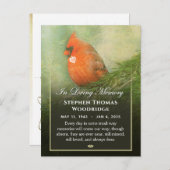 (鳥)ショウジョウコウカンチョウインSpruce悔やみや弔慰感謝していPostCard ポストカード (正面/裏面)