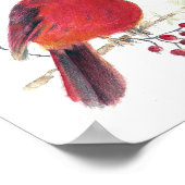 (鳥)ショウジョウコウカンチョウウォーターカラーアートプリント ポスター (角)