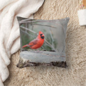 （鳥）ショウジョウコウカンチョウウッドランド クッション (ブランケット)