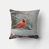 （鳥）ショウジョウコウカンチョウウッドランド クッション (裏面)