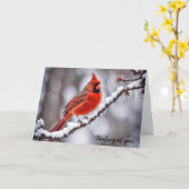 (鳥)ショウジョウコウカンチョウオンウィンター考えブランチズオブユー カード (黄色い花)