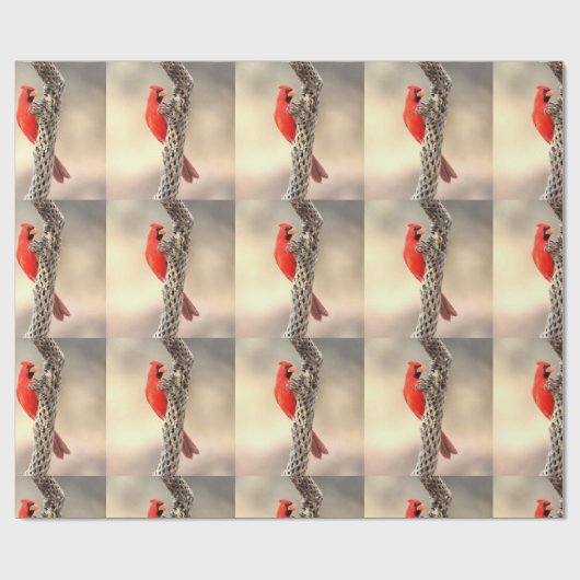 （鳥）ショウジョウコウカンチョウオンショラ ラッピングペーパー (フラット)