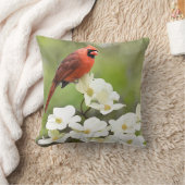 （鳥）ショウジョウコウカンチョウオンドグウッド クッション (ブランケット)