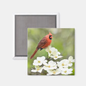 （鳥）ショウジョウコウカンチョウオンドッグウッドツリー マグネット (正面/裏面)