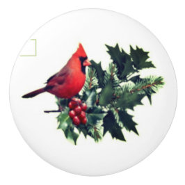 （鳥）ショウジョウコウカンチョウオンホリーセラミックプル セラミックノブ