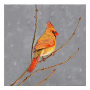 (鳥)ショウジョウコウカンチョウオン枝絵画の – オリジナルバードアート ポスター