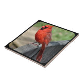 (鳥)ショウジョウコウカンチョウオンFENCE-2 タイル (側面)