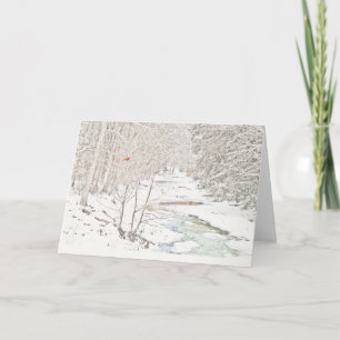 (鳥)ショウジョウコウカンチョウオンWinter Creek (空白の内側) カード