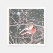 （鳥）ショウジョウコウカンチョウカクテルナプキンス スタンダードカクテルナプキン (正面)