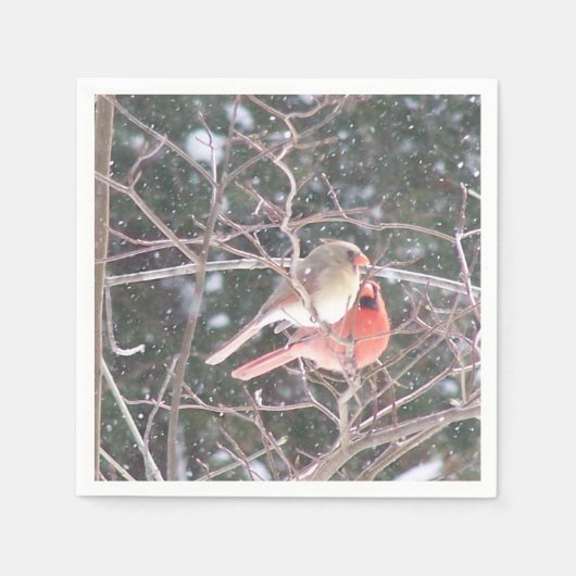 (鳥)ショウジョウコウカンチョウカクテルナプキンス スタンダードカクテルナプキン (正面)