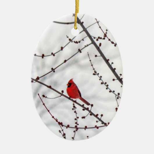 （鳥）ショウジョウコウカンチョウクリスマスオーナメント – 天使が近い セラミックオーナメント (正面)