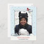 （鳥）ショウジョウコウカンチョウクリスマスカード、（鳥）ショウジョウコウカンチョウ写真はがき シーズンポストカード (正面/裏面)