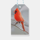 （鳥）ショウジョウコウカンチョウクリスマスギフトタグ ギフトタグ (裏面)