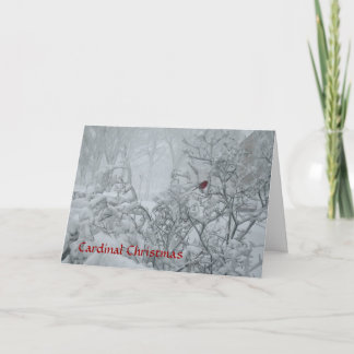 （鳥）ショウジョウコウカンチョウクリスマス シーズンカード