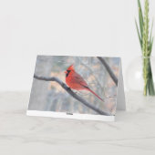 (鳥)ショウジョウコウカンチョウクリークグリーティングカード シーズンカード (裏面)