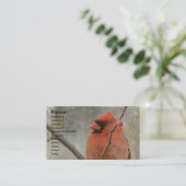 （鳥）ショウジョウコウカンチョウグランジ 名刺 (スタンド正面)