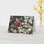 （鳥）ショウジョウコウカンチョウグリーティングカード カード (黄色い花)