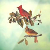 （鳥）ショウジョウコウカンチョウグロスビーチオードボンバーズオブアメリカ ウィンドウサイン (シート3)