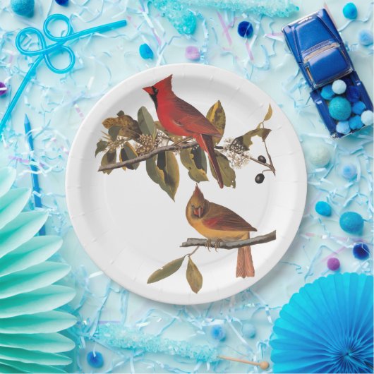 (鳥)ショウジョウコウカンチョウグロスビーチオードボンバーズオブアメリカ ペーパープレート (パーティー)