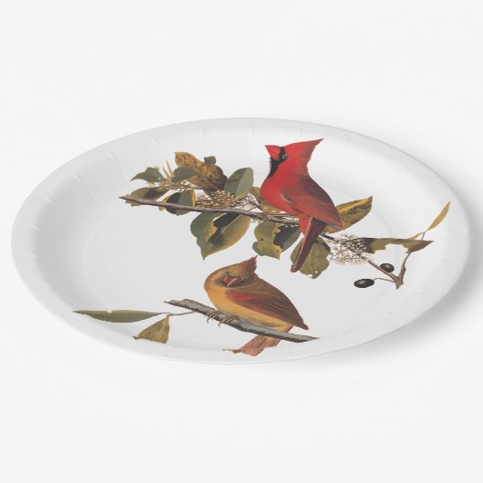 （鳥）ショウジョウコウカンチョウグロスビーチオードボンバーズオブアメリカ ペーパープレート (アングル)