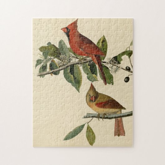 (鳥)ショウジョウコウカンチョウグロスベークのオードボンズバードオブアメリカ ジグソーパズル (縦)