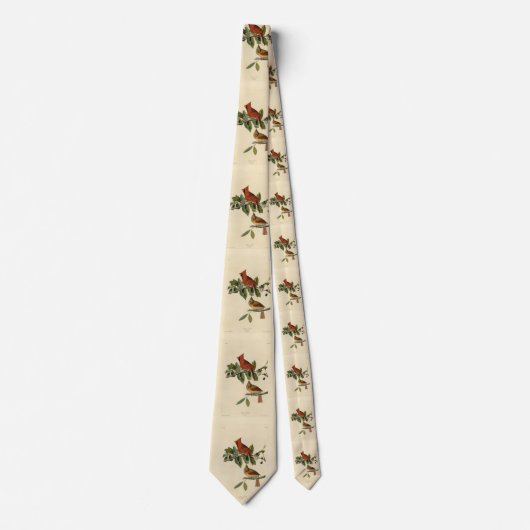 （鳥）ショウジョウコウカンチョウグロスベークのオードボンズバードオブアメリカ ネクタイ (正面)