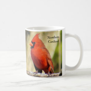 （鳥）ショウジョウコウカンチョウコーヒーマグバイバーディングコレク コーヒーマグカップ