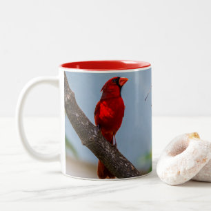 (鳥)ショウジョウコウカンチョウコーヒーマグ ツートーンマグカップ