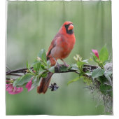 (鳥)ショウジョウコウカンチョウシャワーカーテン シャワーカーテン (正面)