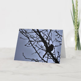 （鳥）ショウジョウコウカンチョウシルエット、カード カード