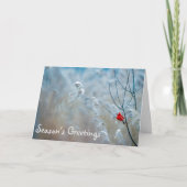 （鳥）ショウジョウコウカンチョウシーズンズグリーティングホリデークリスマスカード カード (正面)