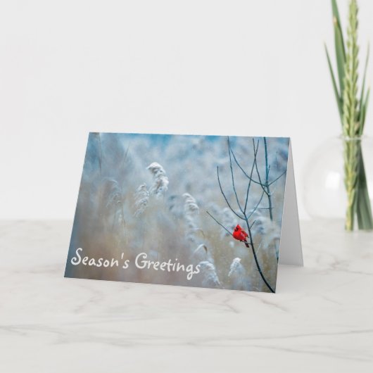 （鳥）ショウジョウコウカンチョウシーズンズグリーティングホリデークリスマスカード カード (正面)