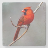 （鳥）ショウジョウコウカンチョウストーンコースター ストーンコースター (正面)