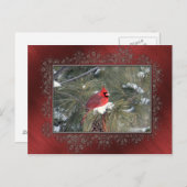 (鳥)ショウジョウコウカンチョウスノウマツ写真 ポストカード (正面/裏面)