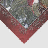 （鳥）ショウジョウコウカンチョウスノウマツ写真 薄葉紙 (詳細)