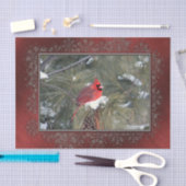 （鳥）ショウジョウコウカンチョウスノウマツ写真 薄葉紙 (クラフト)