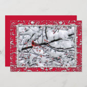 (鳥)ショウジョウコウカンチョウスノーツリーフォトクリスマスフラット シーズンカード (正面/裏面)